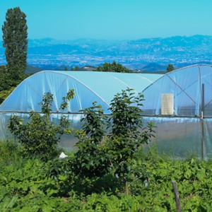 Plastic zeil om een kas mee te maken