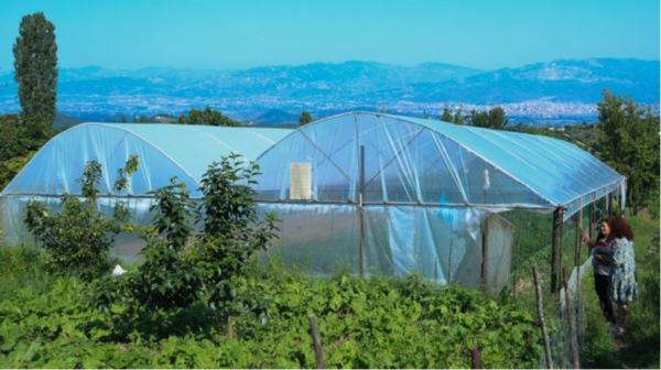 Plastic zeil om een kas mee te maken
